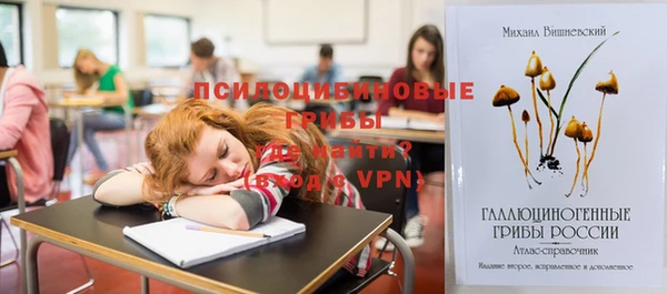 спиды Аркадак