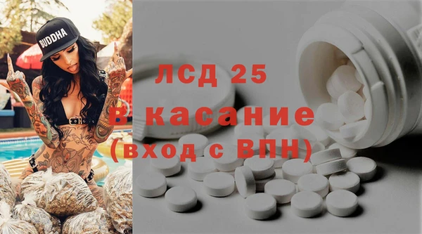 спиды Аркадак