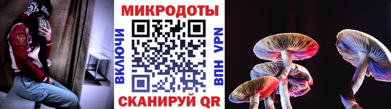 Псилоцибиновые грибы Psilocybine cubensis хочу наркоту Новый Оскол